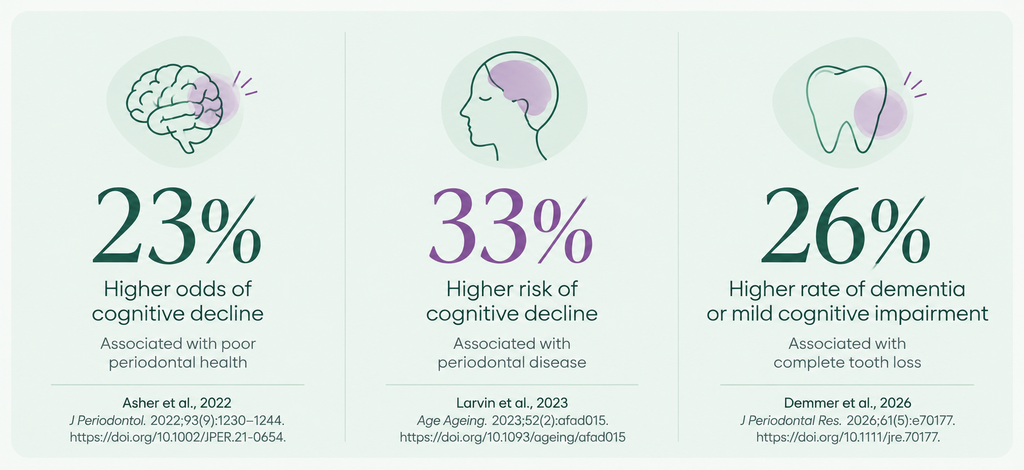 Infographic showing associations between periodontal health and cognitive outcomes: 23% higher odds of cognitive decline with poor periodontal health (Asher et al., 2022), 33% higher risk of cognitive decline with periodontal disease (Larvin et al., 2023), and 26% higher rate of dementia or mild cognitive impairment with complete tooth loss (Demmer et al., 2026).