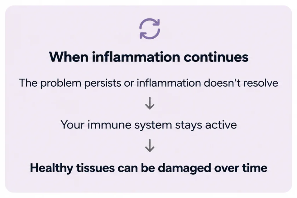 Infographic showing how chronic inflammation develops: a problem persists or inflammation fails to resolve, the immune system remains active, and healthy tissues can become damaged over time.
