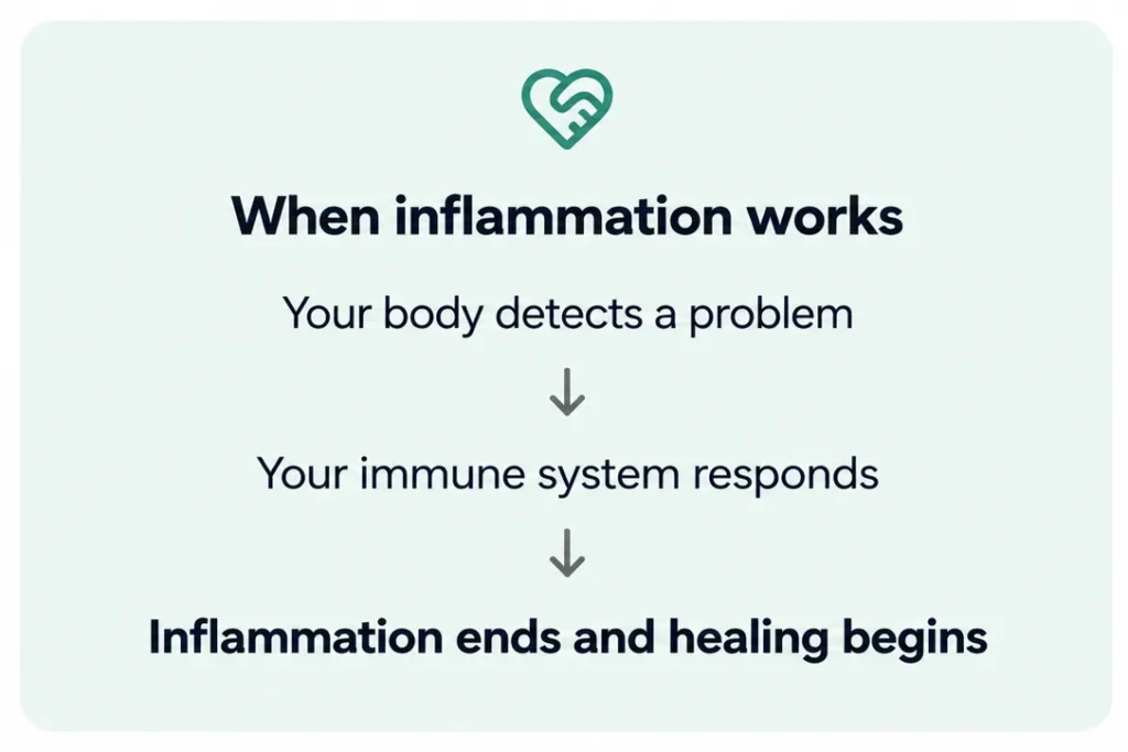 Infographic showing how healthy inflammation supports healing: the body detects a problem, the immune system responds, and inflammation resolves so healing can begin.